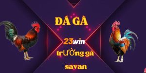 DD trường gàd savan 23Win